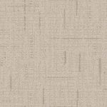 Lexmark Carpet Explore T2120 4171 Haylo