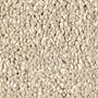 Mohawk Beach Club I Hearth Beige