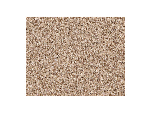Shaw Carpet Anso Colorwall Platinum Texture Tonal Hidden Treasure
