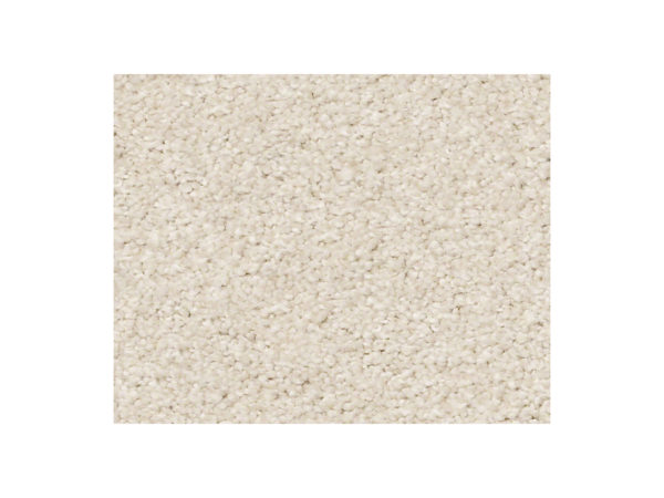 Shaw Carpet Anso Colorwall Find Your Comfort NS II Homemade Ice Cream
