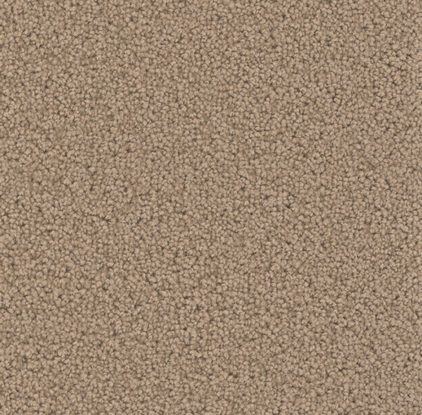 Dream Weaver Carpet Broadcast Plus Honey Beige