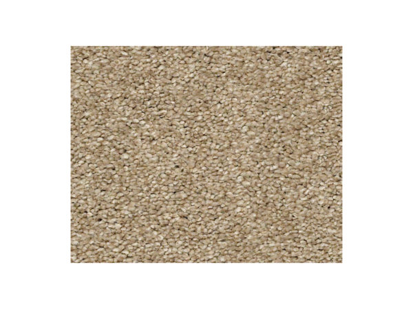 Shaw Carpet Anso Colorwall Find Your Comfort NS I Honey Tea