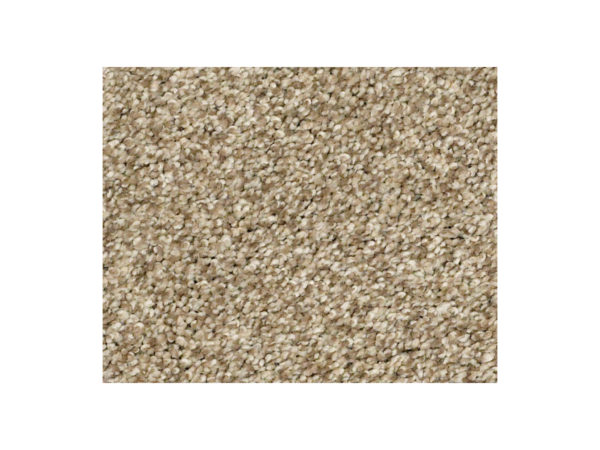 Shaw Carpet Anso Colorwall Find Your Comfort TT Blue Honey Tea