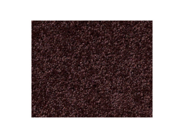 Shaw Carpet Anso Colorwall Platinum Twist Japanese Maple