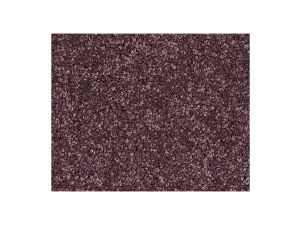 Shaw Carpet Anso Colorwall Platinum Twist Kudo Berries Discount
