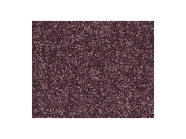Shaw Carpet Anso Colorwall Platinum Twist Kudo Berries