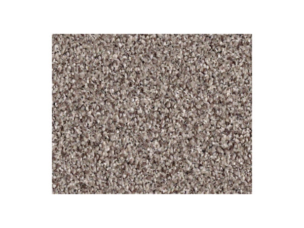 Shaw Carpet Anso Colorwall Platinum Texture Tonal Landmark