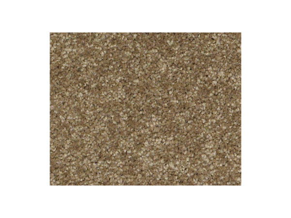 Shaw Carpet Anso Colorwall Platinum Twist Latte