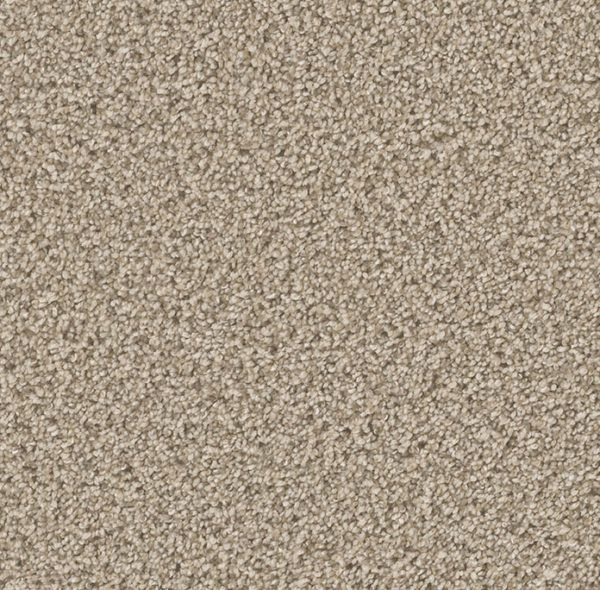 Dream Weaver Carpet Can't Miss Linen