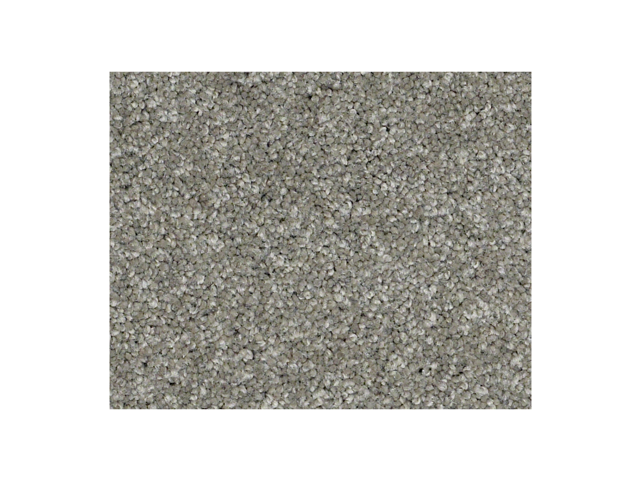 Shaw Carpet Anso Colorwall Silver Texture London