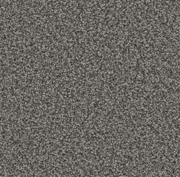 Dream Weaver Carpet Can't Miss Magma