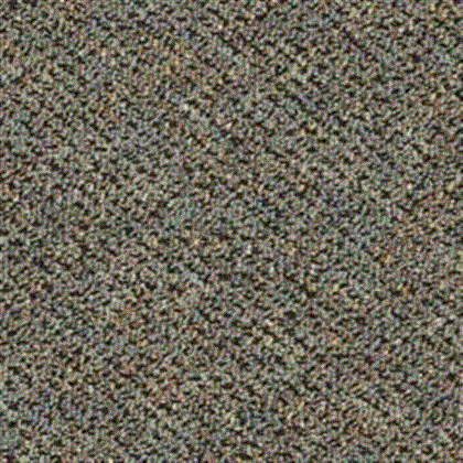 Mannington Carthage 4 Carlisle Bay CABA