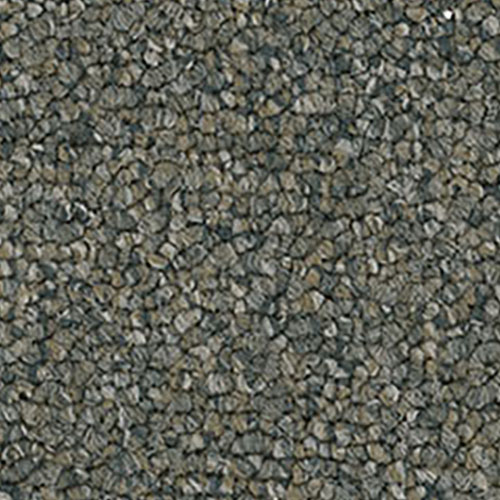 Pentz Diversified 26 Carpet Tiles Mingled 
