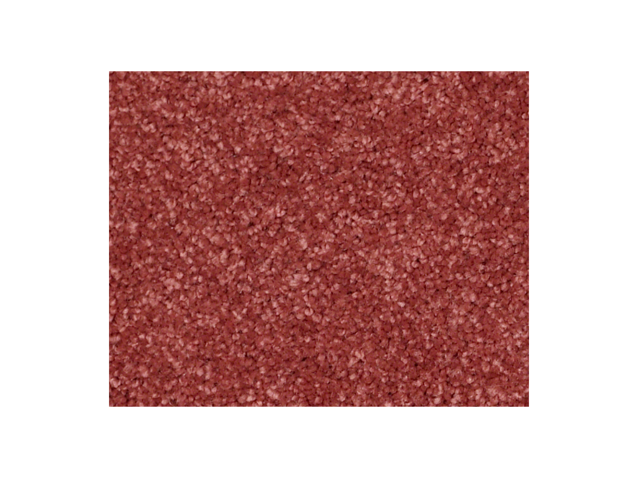 Shaw Carpet Anso Colorwall Platinum Twist Monte Carlo