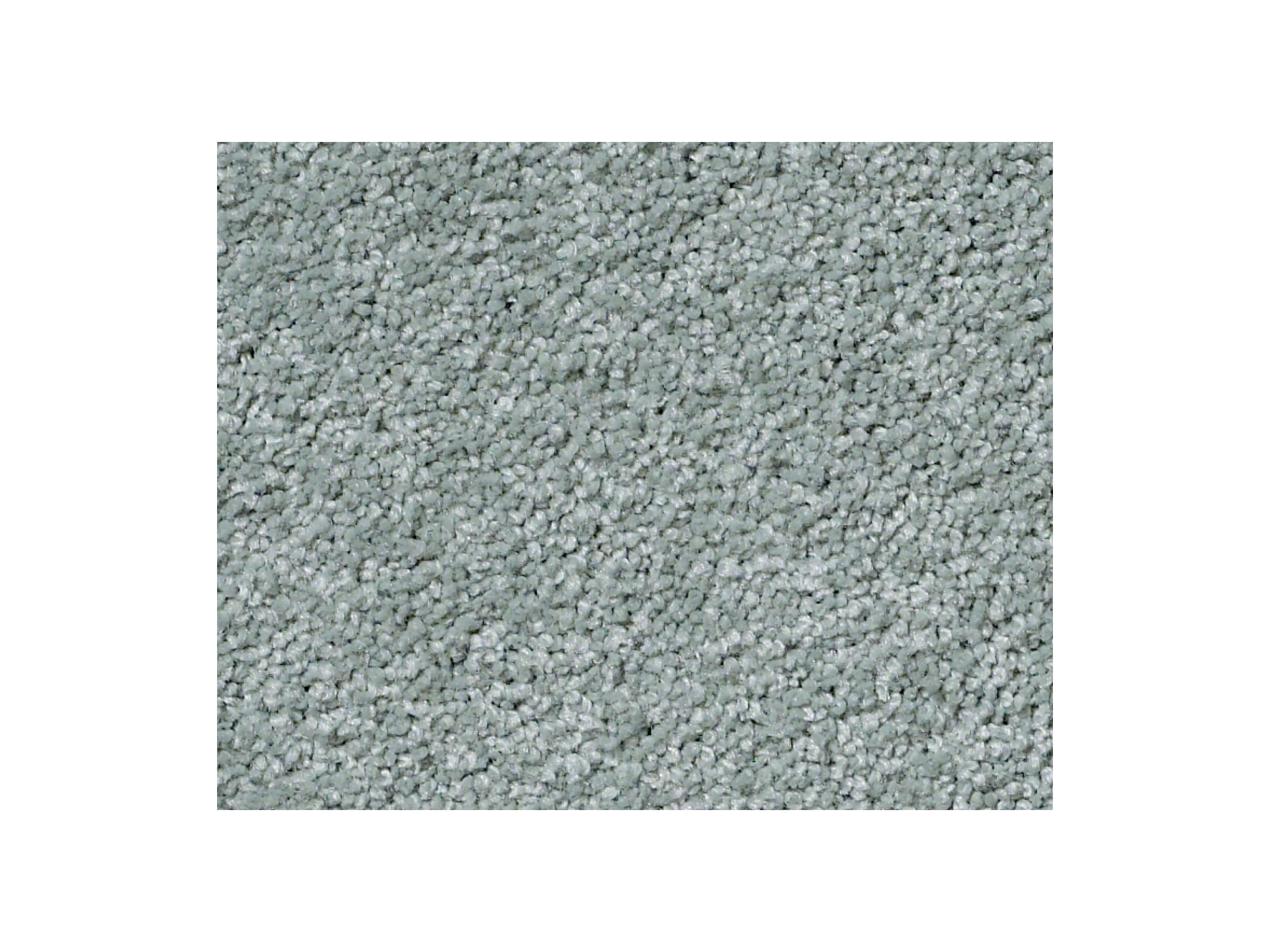 Shaw Carpet Anso Colorwall Titanium Texture Monterey