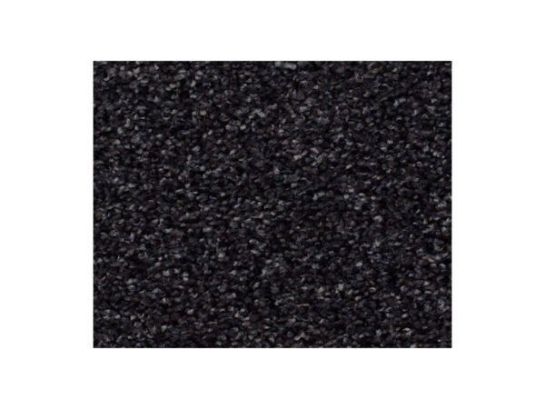 Shaw Carpet Anso Colorwall Find Your Comfort TT II Movie Night