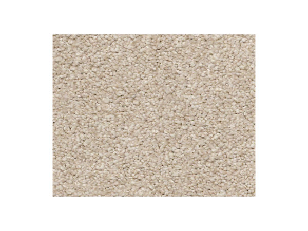 Shaw Carpet Anso Colorwall Find Your Comfort NS II My Haven