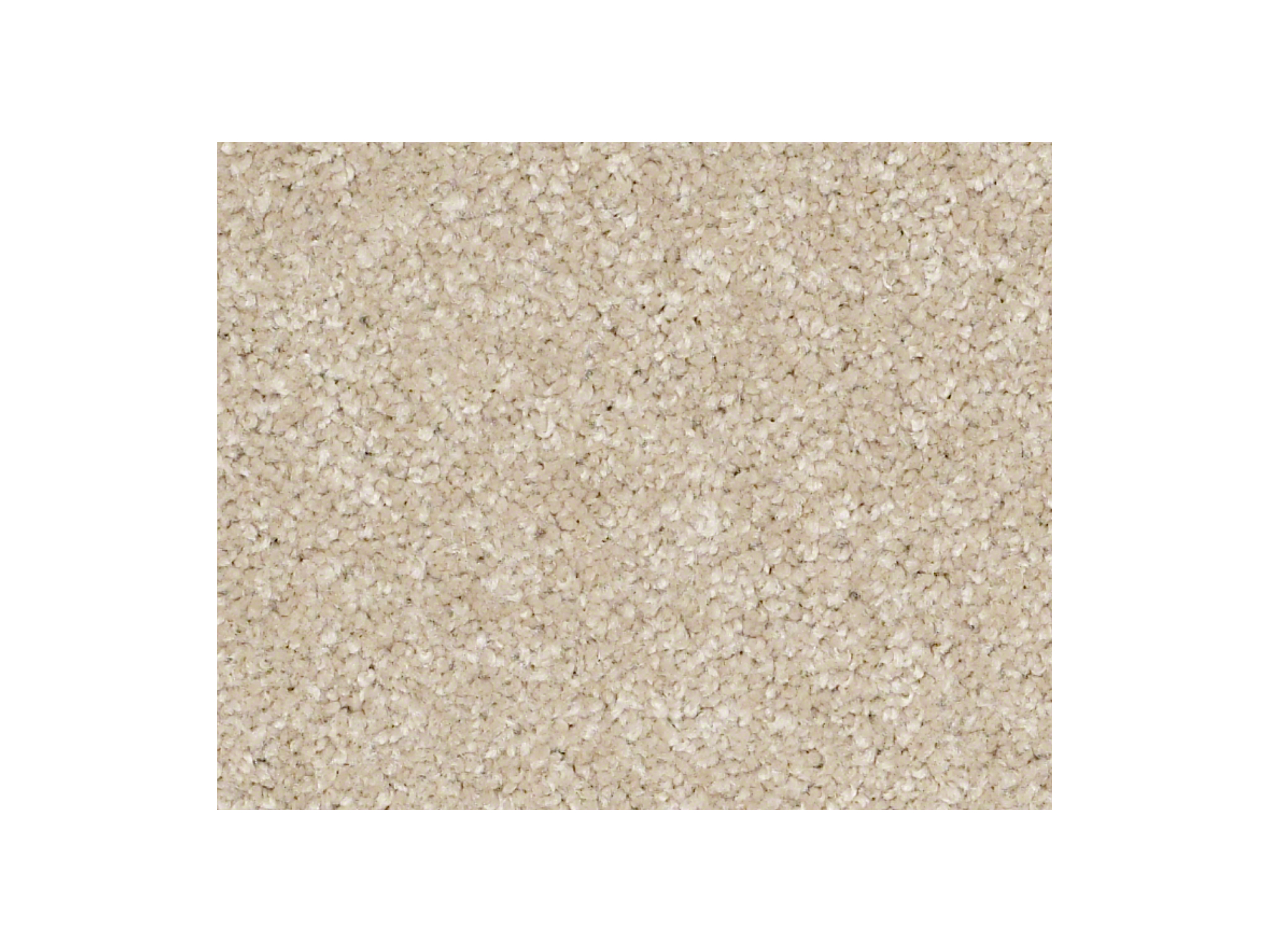 Shaw Carpet Anso Colorwall Titanium Texture Natural Wood