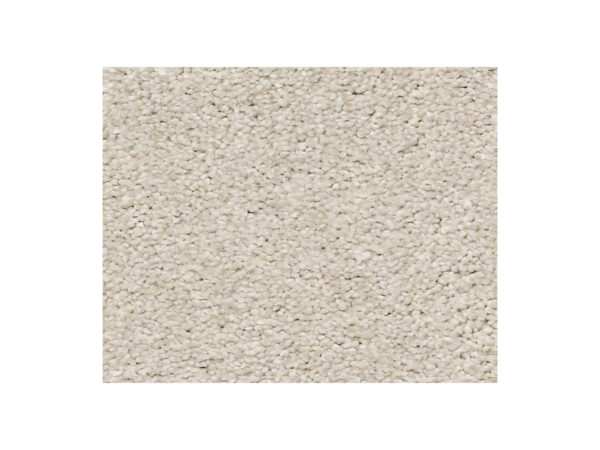 Shaw Carpet Anso Colorwall Find Your Comfort NS Blue Need A Hug