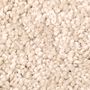 Mohawk Alluring Ambition Oak Panel