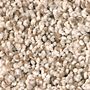 Mohawk Clear Dawn II Oasis Sand