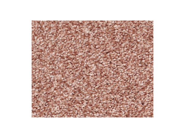 Shaw Carpet Anso Colorwall Find Your Comfort TT II Open The Rose'