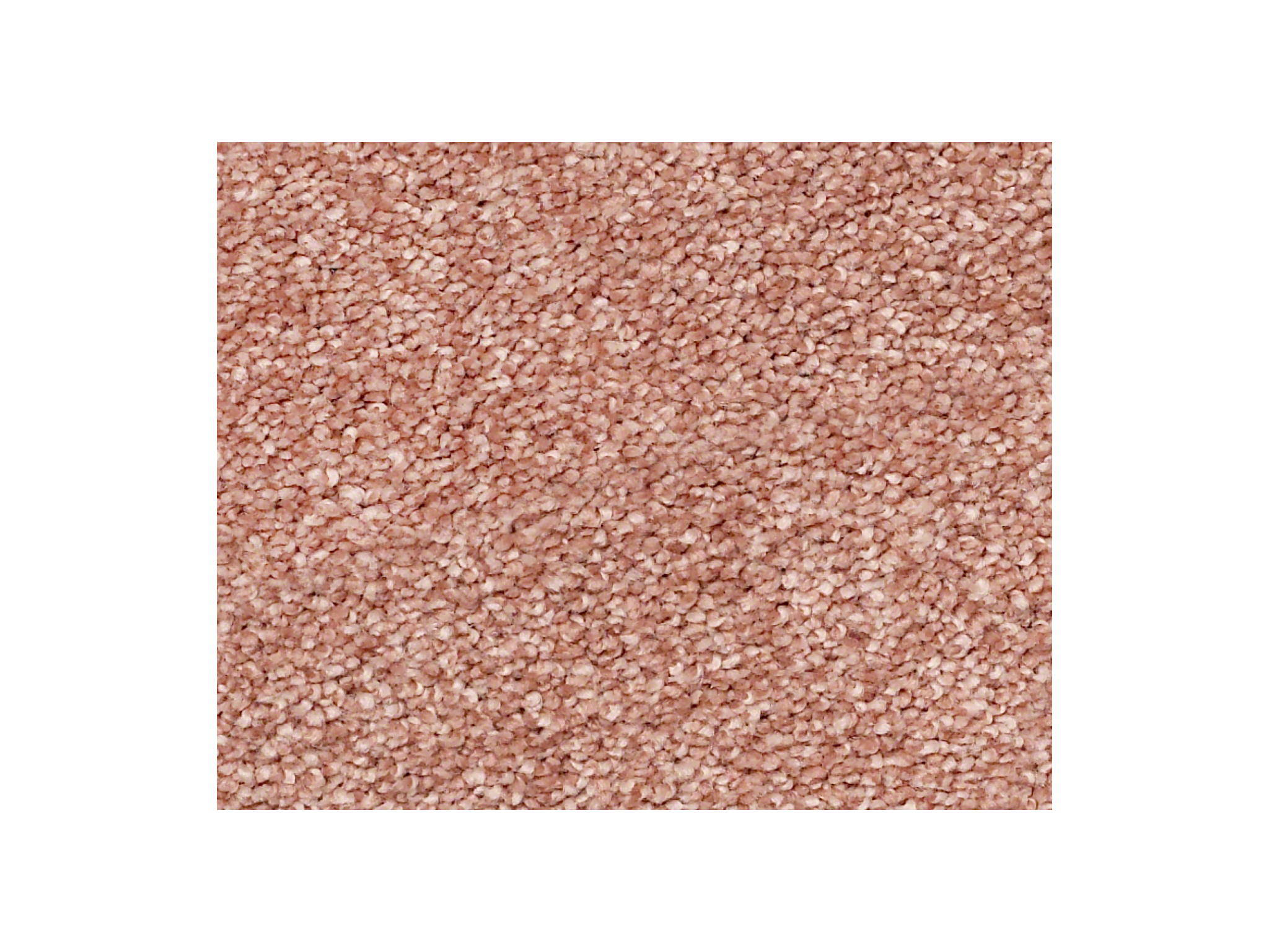Shaw Carpet Anso Colorwall Find Your Comfort NS Blue Open The Rose'