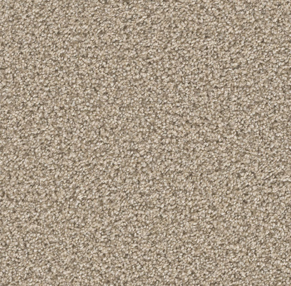 Dream Weaver Carpet Can't Miss Oxford