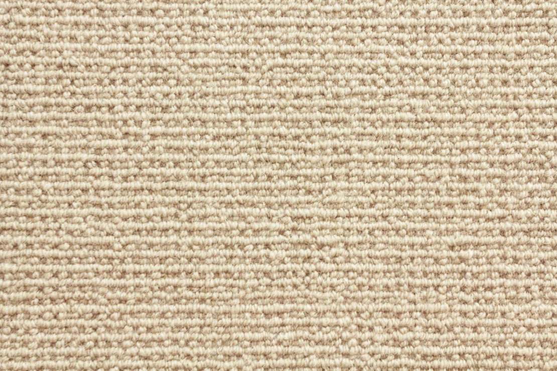 Stanton Carpet Sequoia Oyster