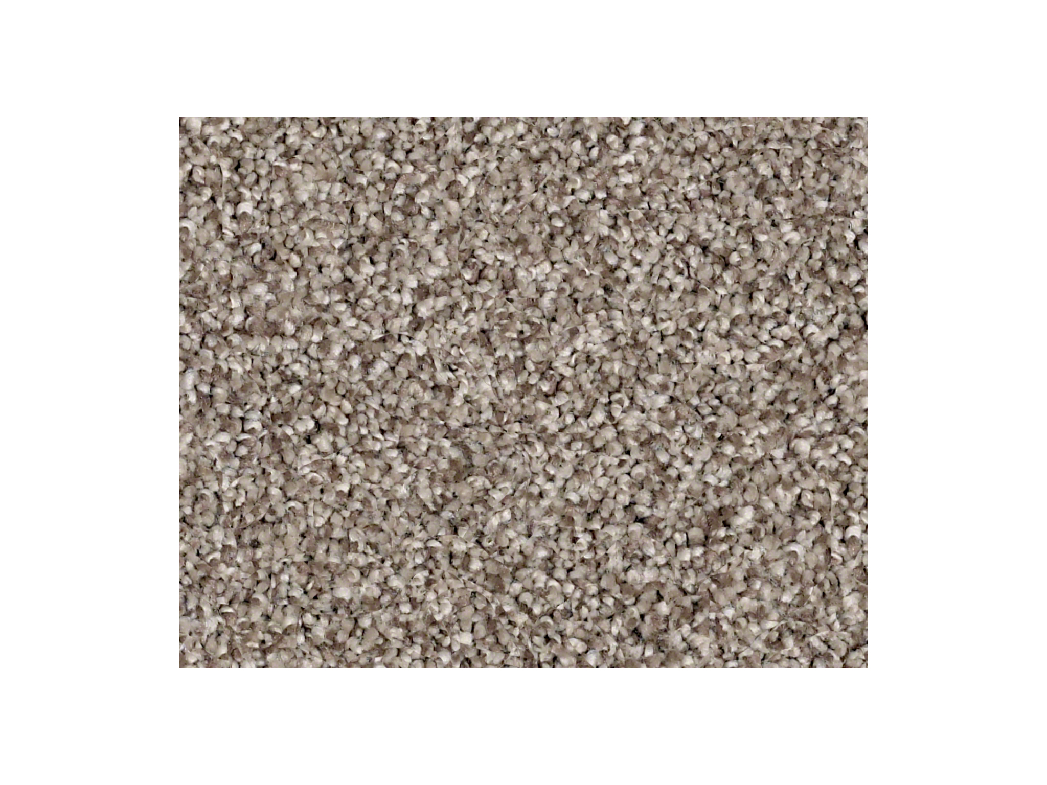 Shaw Carpet Anso Colorwall Platinum