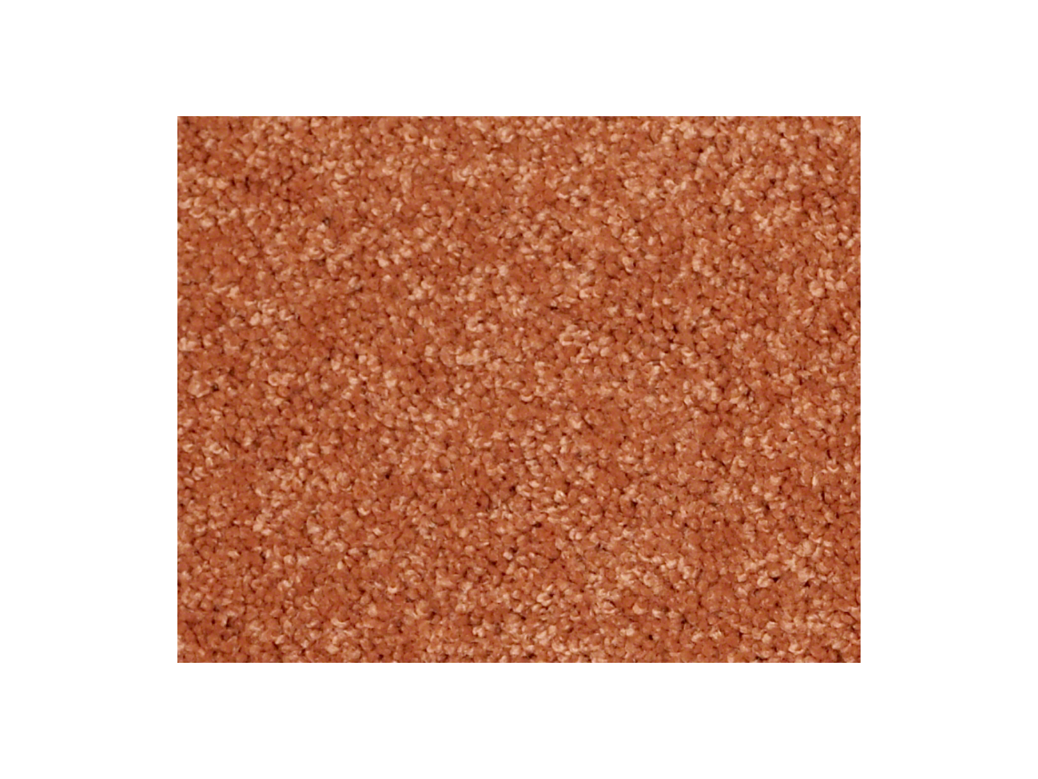 Shaw Carpet Anso Colorwall Titanium Texture Passion Fruit