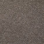 Lexmark Carpet Tender S1048 13300 Patience