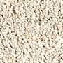 Mohawk Truly Tasteful Persian Silk
