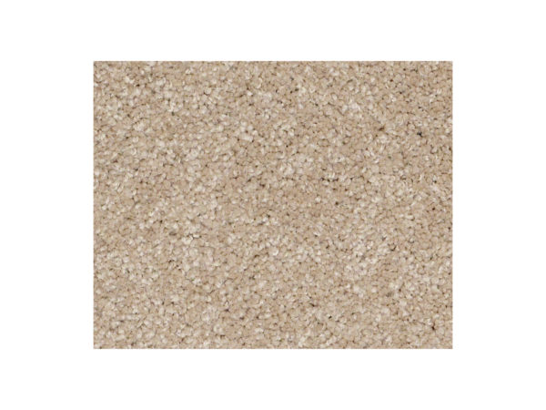 Shaw Carpet Anso Colorwall Titanium Texture Pueblo