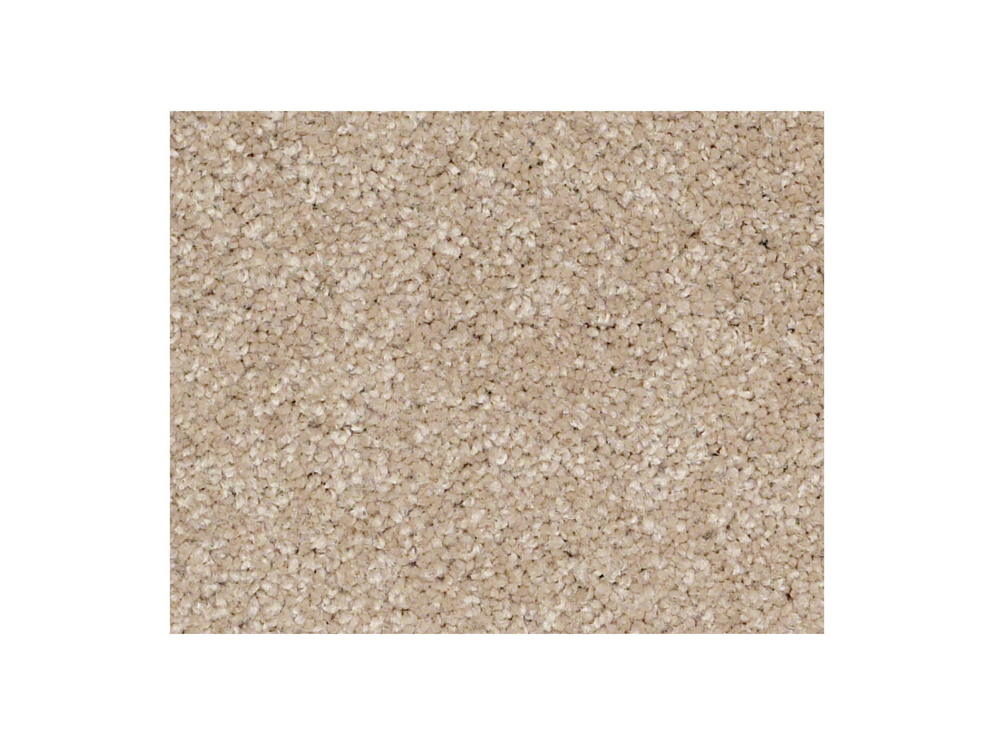 Shaw Carpet Anso Colorwall Titanium Texture Pueblo