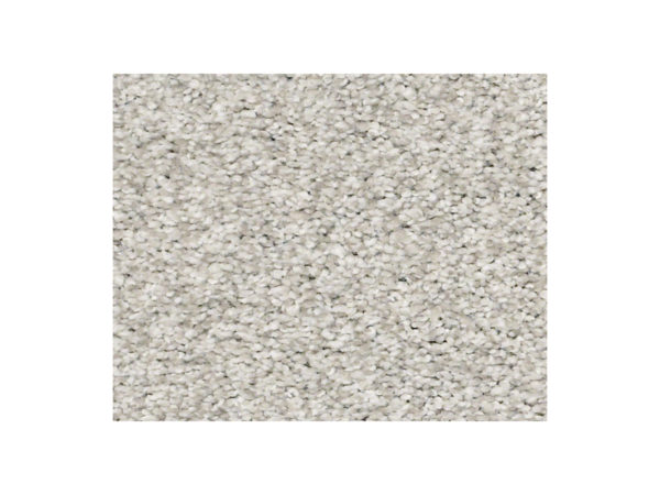 Shaw Carpet Anso Colorwall Find Your Comfort TT II Quiet Time