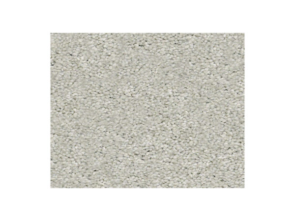 Shaw Carpet Anso Colorwall Find Your Comfort NS I Refreshed
