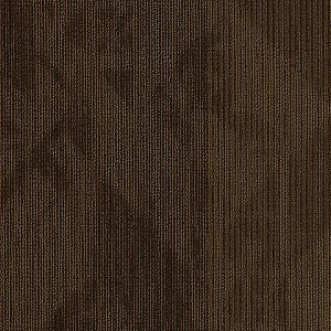 Shaw Mainstreet by Philadelphia Carpet Tile Declare Reported