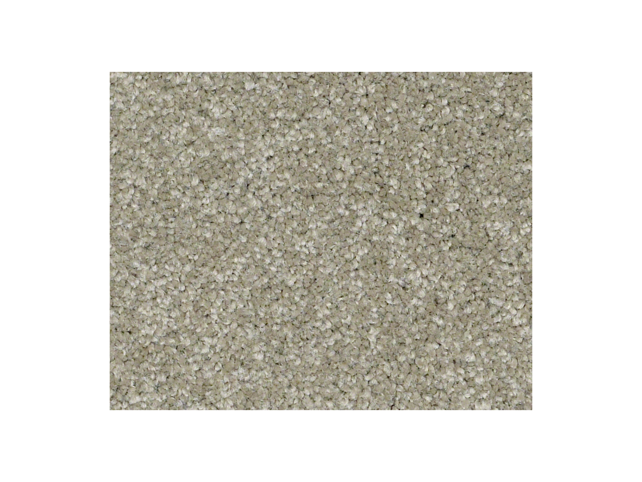 Shaw Carpet Anso Colorwall Platinum Twist River Thames