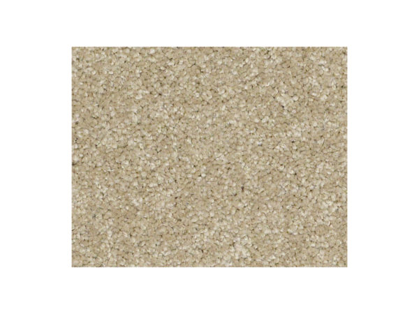 Shaw Carpet Anso Colorwall Gold Texture Riverbank