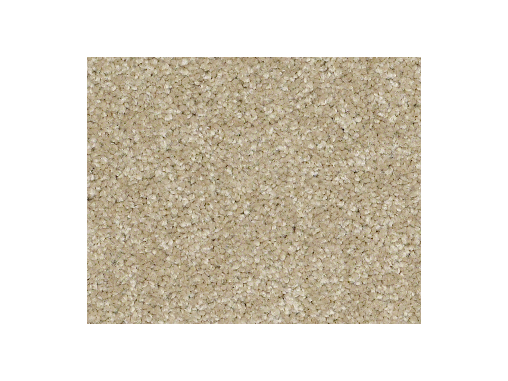 Shaw Carpet Anso Colorwall Titanium Texture Riverbank