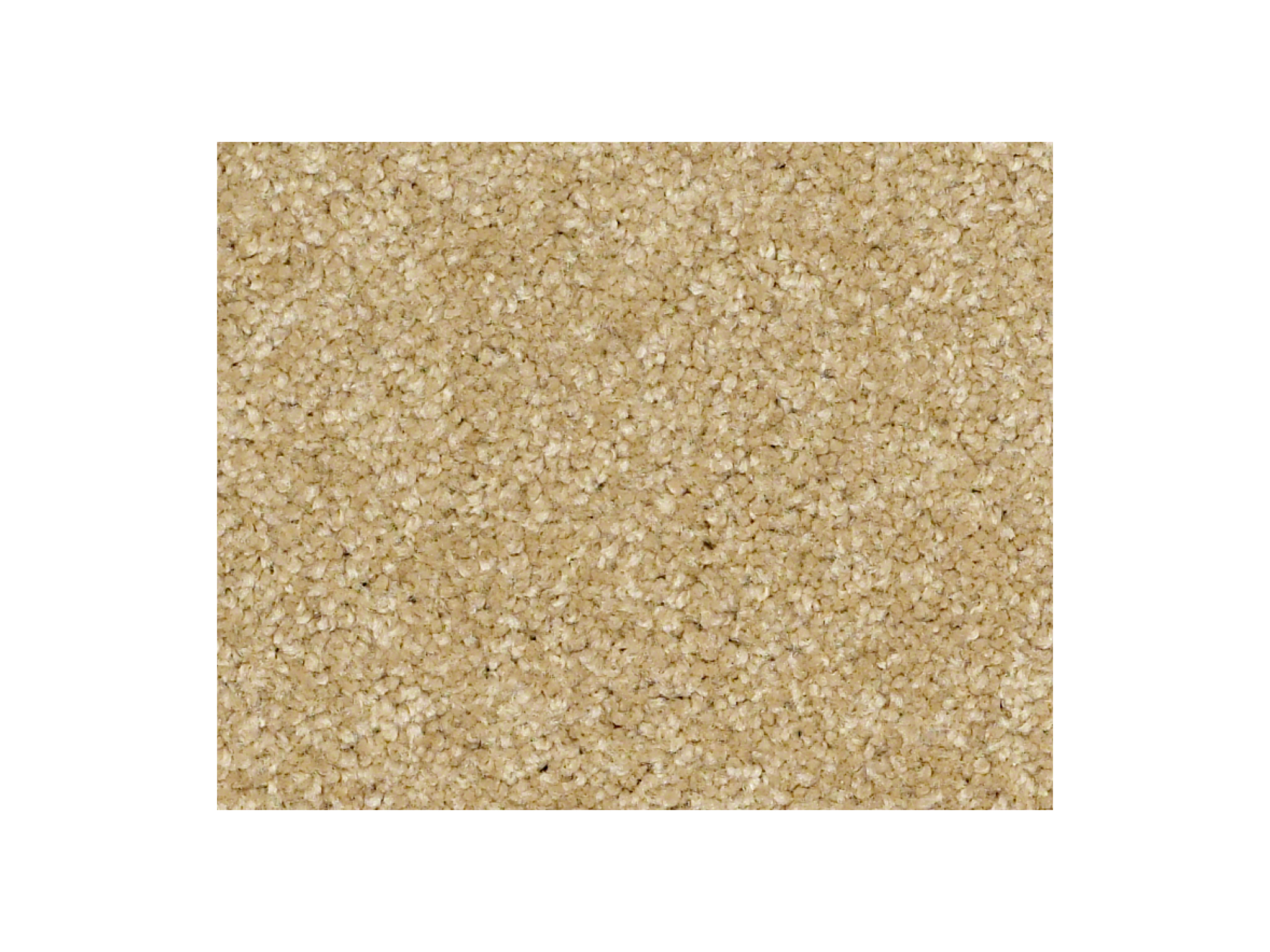 Shaw Carpet Anso Colorwall Gold Texture Sahara