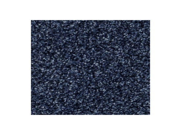 Shaw Carpet Anso Colorwall Find Your Comfort TT I Sail Away