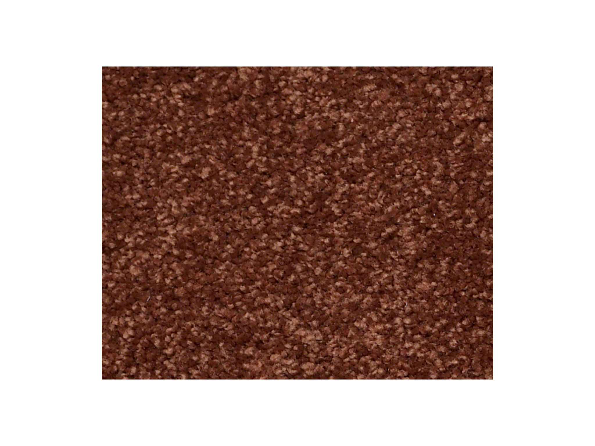 Shaw Carpet Anso Colorwall Platinum Twist San Antonio Night