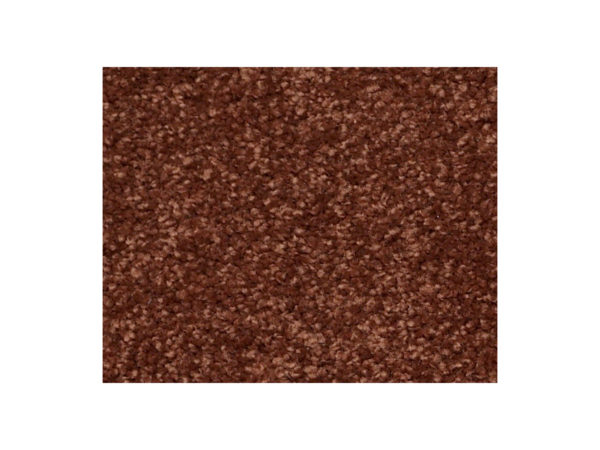 Shaw Carpet Anso Colorwall Gold Texture San Antonio Night