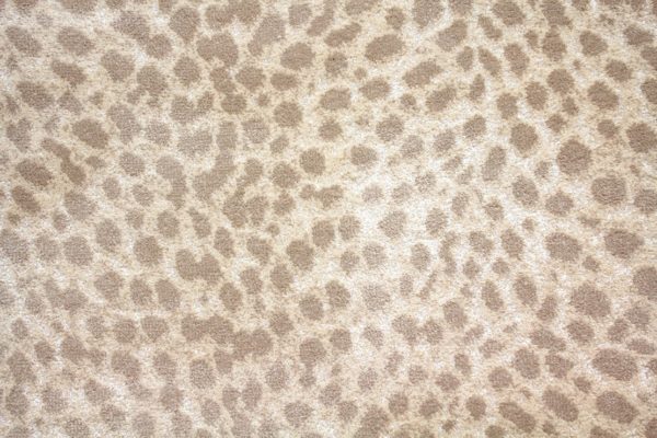 Stanton Carpet Pardus Sand