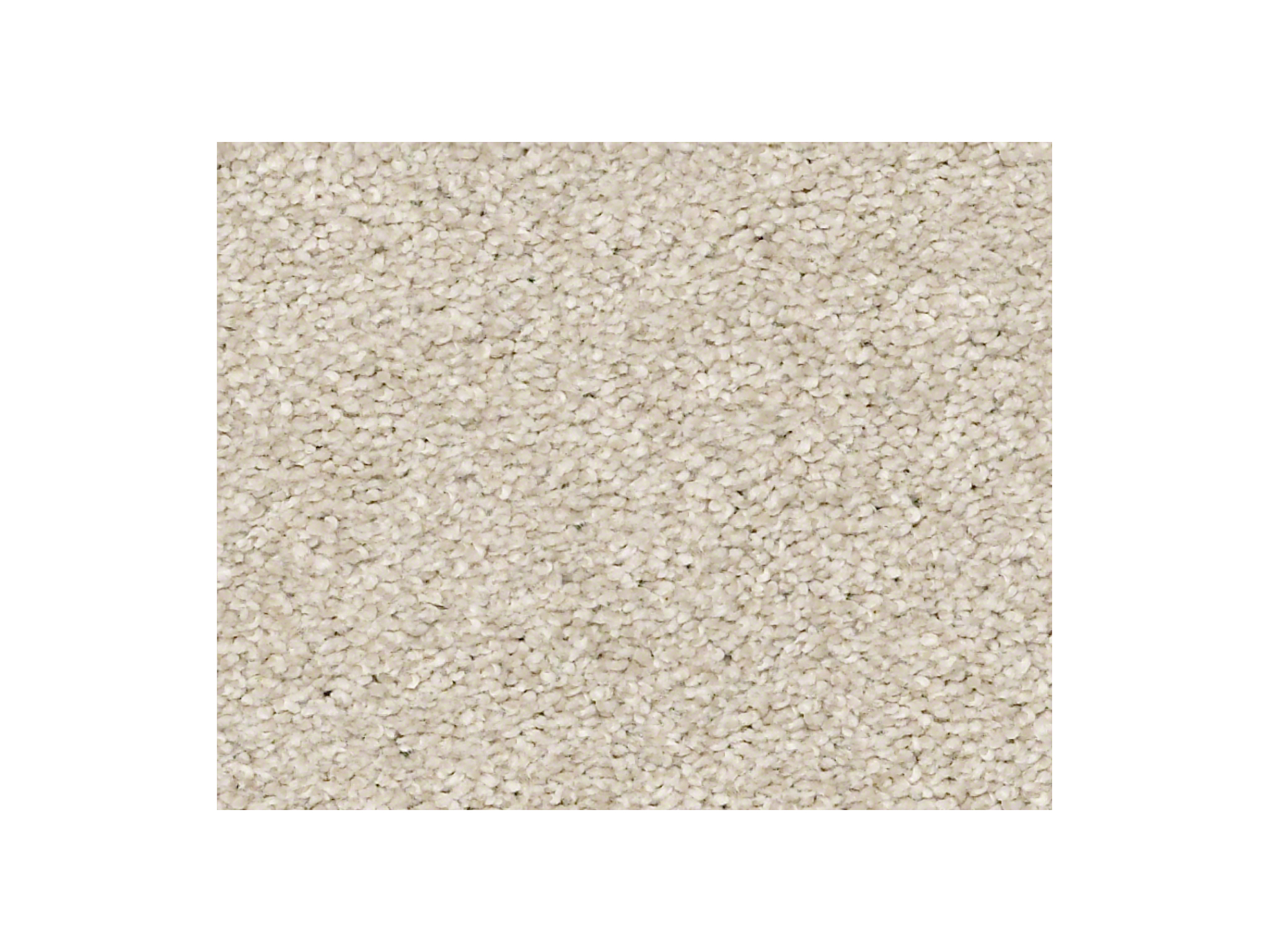 Shaw Carpet Anso Colorwall Find Your Comfort NS I Sand Castle