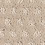 Mohawk Creative Luxury Sand Dollar