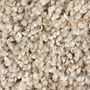 Mohawk Coastal Cheer Sand Dollar
