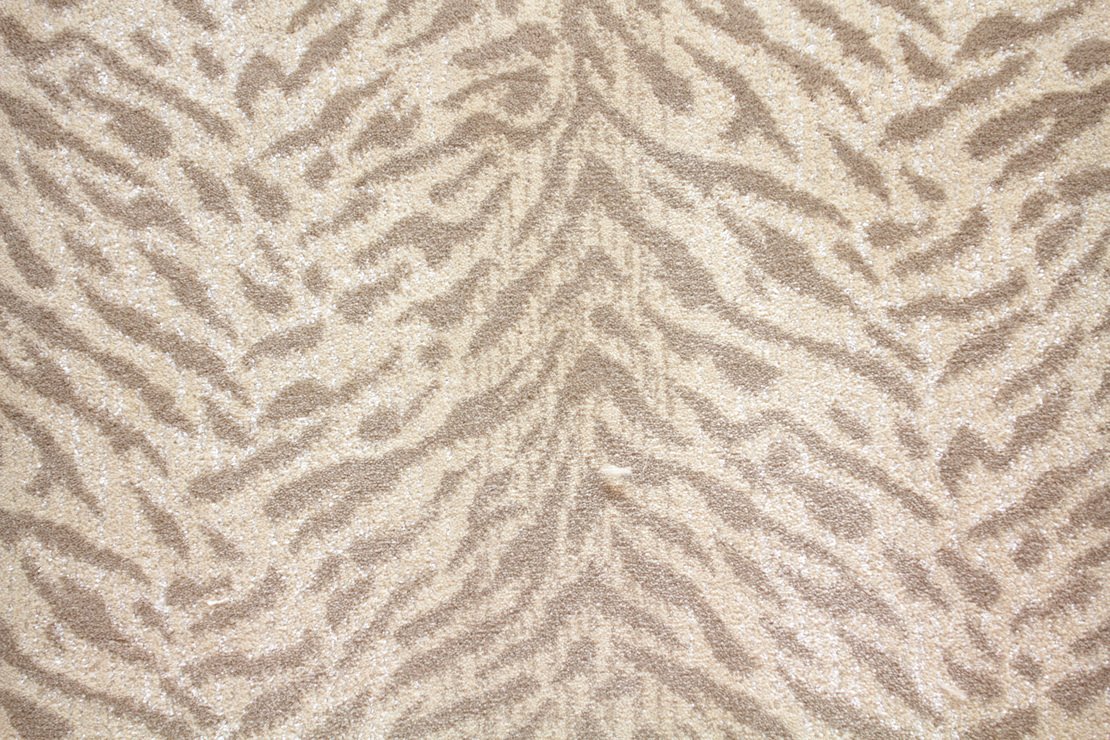Stanton Carpet Ringo Sandstone